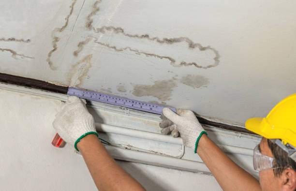 Reliable Water Damage contractor in Lawnside, NJ by Water Damage Irwin